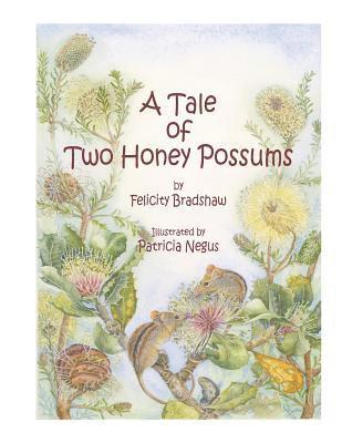 bokomslag A Tale of Two Honey Possums