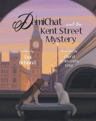 bokomslag DemiChat and the Kent Street Mystery