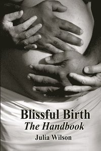 bokomslag Blissful Birth - The Handbook