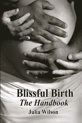 Julia Wilson - Blissful Birth - The Handbook, Häftad
