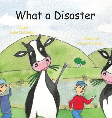 bokomslag What a Disaster