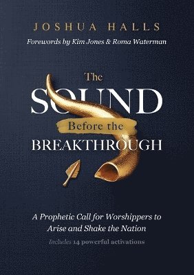 bokomslag Sound Before the Breakthrough