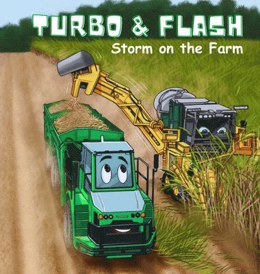 bokomslag Turbo and Flash - Storm on the Farm