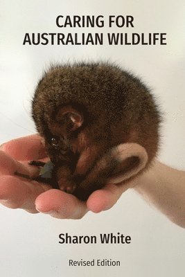 Caring for Australian Wildlife 1