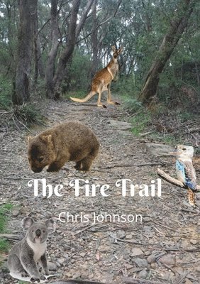 Chris Johnson - Fire Trail, Häftad