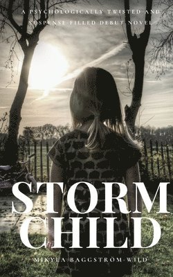 bokomslag Storm Child