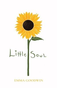 bokomslag Little Soul