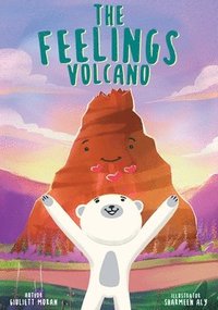 bokomslag Feelings Volcano