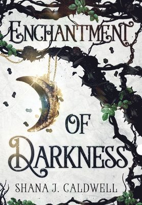 bokomslag Enchantment of Darkness