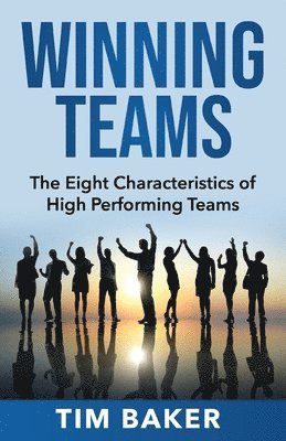 Tim Baker - Winning Teams, Häftad
