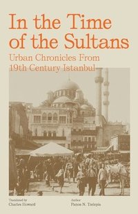 bokomslag In the Time of the Sultans