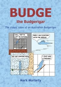 bokomslag Budge the Budgerigar