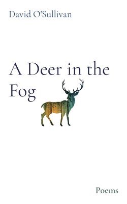 A Deer in the Fog 1