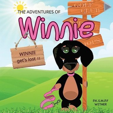 bokomslag Adventures of Winnie