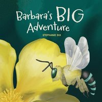 bokomslag Barbara's Big Adventure