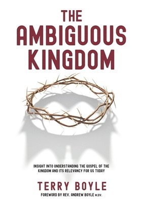 bokomslag Ambiguous Kingdom