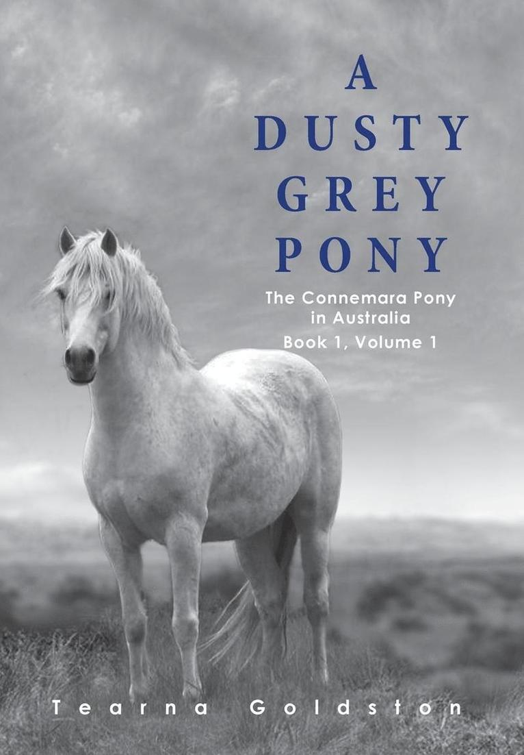 A Dusty Grey Pony Book 1 Volume 1 1