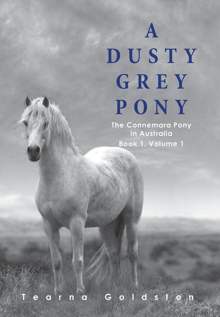 Tearna Goldston - Dusty Grey Pony Book 1 Volume 1, Inbunden