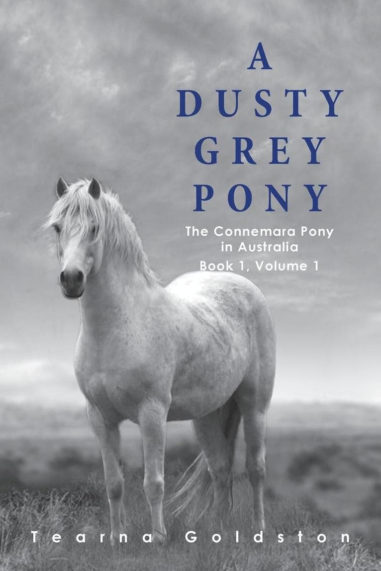 Tearna Goldston - Dusty Grey Pony Book 1 Volume 1, Häftad