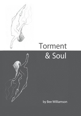 bokomslag Torment & Soul