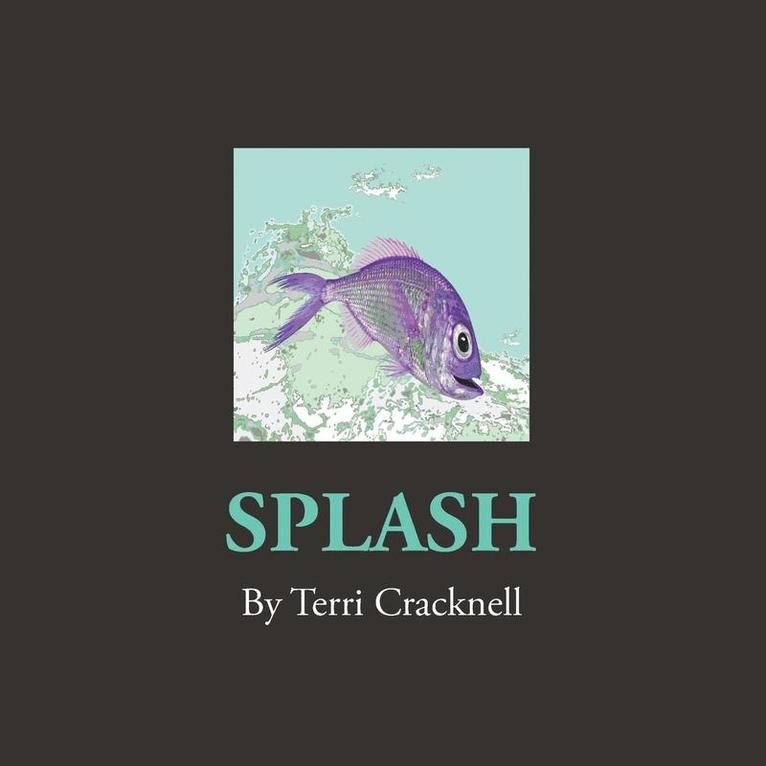 Splash 1