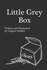 bokomslag Little Grey Box