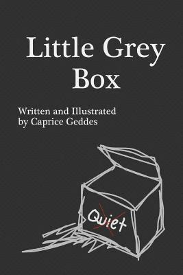 Little Grey Box 1