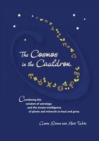 bokomslag The Cosmos in the Cauldron