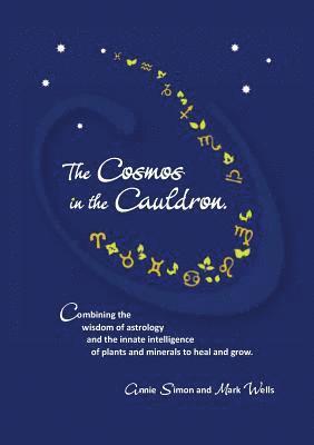 bokomslag Cosmos in the Cauldron