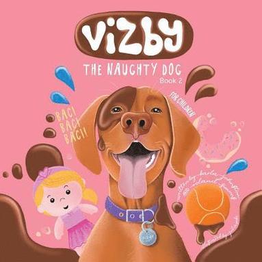 bokomslag Vizby