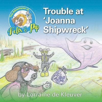 Trouble at 'Joanna Shipwreck 1