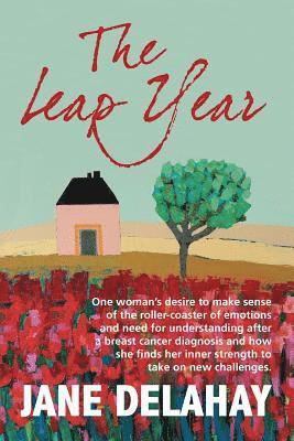 bokomslag Leap Year