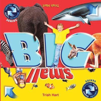 Trish Hart - BIG and SMALL: A concept picture book for children, Häftad