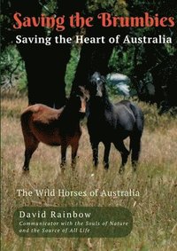 bokomslag Saving the Brumbies - Saving the Heart of Australia