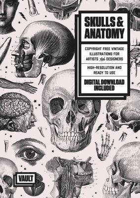 James Kale - Skulls & Anatomy, Häftad