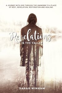 bokomslag Revelations in the Valley