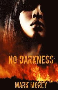 bokomslag No Darkness