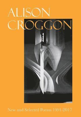 bokomslag New and Selected Poems 1991-2017