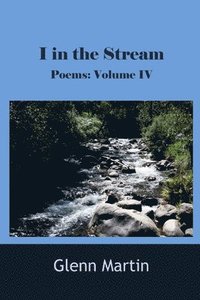 bokomslag I in the stream