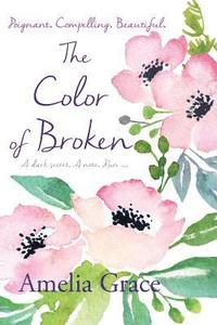 bokomslag The Color of Broken
