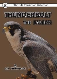 bokomslag Thunderbolt the Falcon