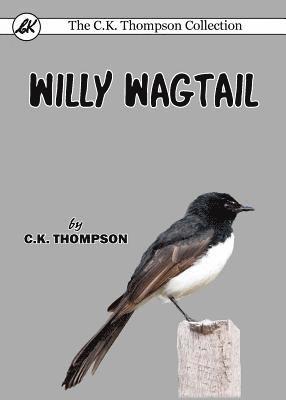 Willy Wagtail 1