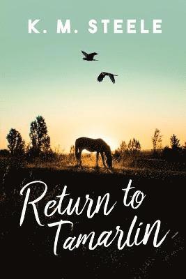 Return to Tamarlin 1