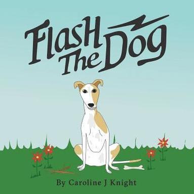 bokomslag Flash the Dog