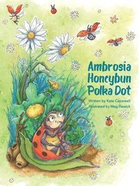 bokomslag Ambrosia Honeybun Polka Dot