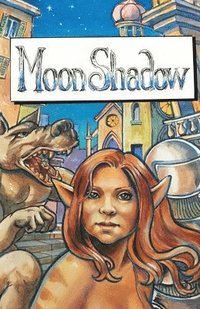bokomslag Moon Shadow