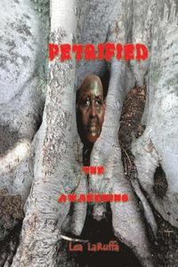 bokomslag Petrified