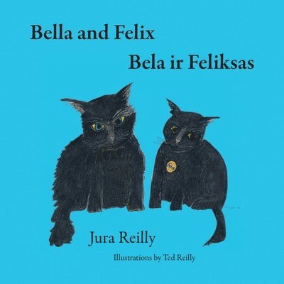 Jura Reilly - Bella and Felix, Häftad