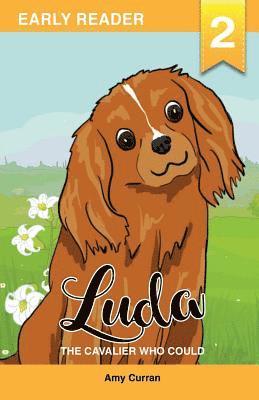 Amy Curran - Luda the Cavalier who could, Häftad