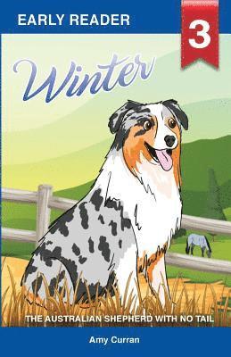 Winter the Australian Shepherd with no tail 1